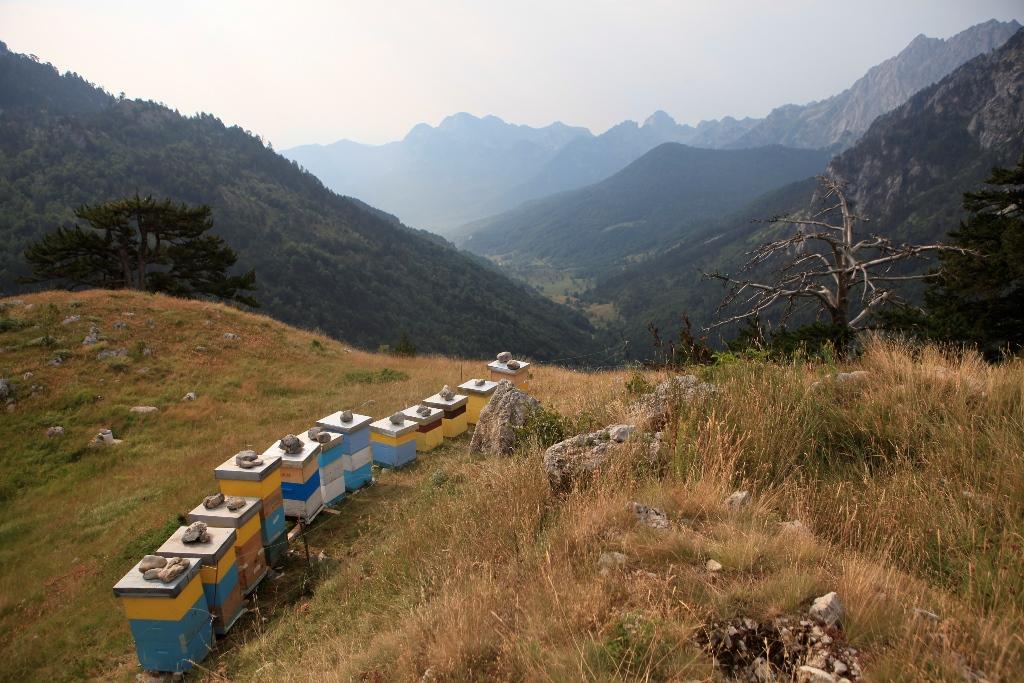 Honey Route through Durmitor and Herzegovina