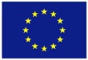 Copy Of Eu Flag1